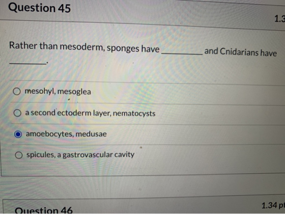 Question 45 1.3 Rather than mesoderm, sponges have and Cnidarians have mesohyl, mesoglea O a second ectoderm layer, nematocys