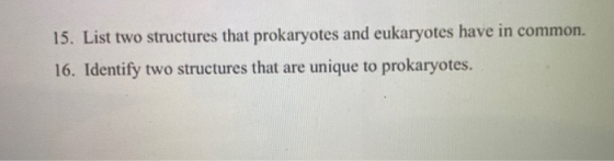 15. List two structures that prokaryotes and eukaryotes have in common. 16. Identify two structures that are unique to prokar