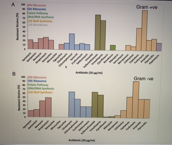 Gram +ve Resistant Strains (%) 100 BOS Ribosome 90 50 Ribosome 80 Folate Pathway 70 DNA/RNA Synthesis 60 Cell Wall Synthesis