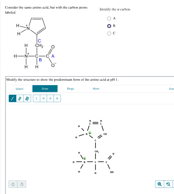Consider the same amino acid, but with the carbon atoms labeled Identify the a-carbon. O I +7 H +/ O I O H- N- H H Modify the