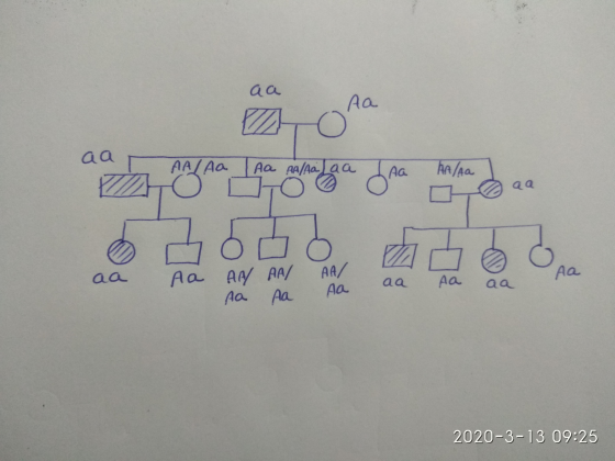aa aa aa Aa AAL Aa AM Aa AA/ Aa A a aa aa 2020-3-13 09:25