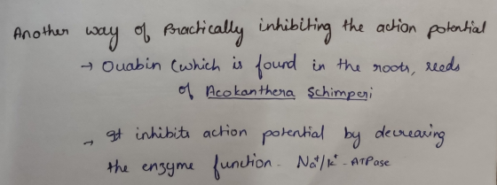 Another way of Practically inhibiting the action potential ~ Ouabin (which is found in the roots, reeds of Acokanthera şchimp