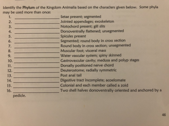 Identify the Phylum of the Kingdom Animalia based on the characters given below. Some phyla may be used more than once: Setae