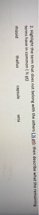 2. Highlight the term that does not belong with the others ( X pt); then describe what the remaining terms have in common (pt