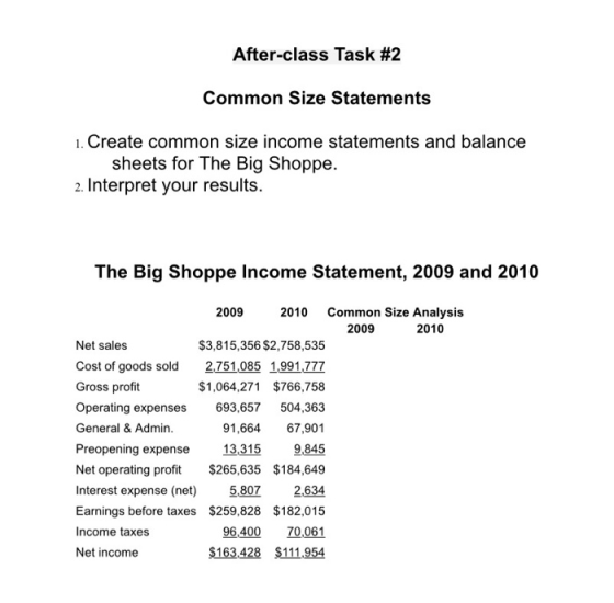 After-class Task #2 Common Size Statements 1. Create common size income statements and balance sheets for The Big Shoppe. 2.