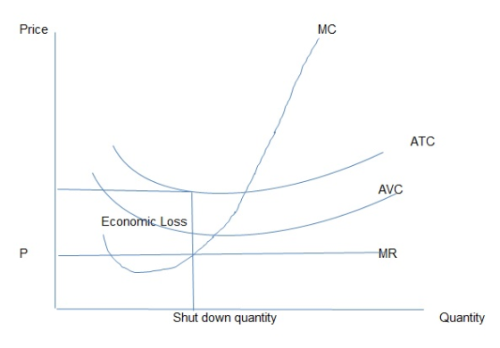 Price MC ATC AV Economic Loss MR Shut down quantity Quantity