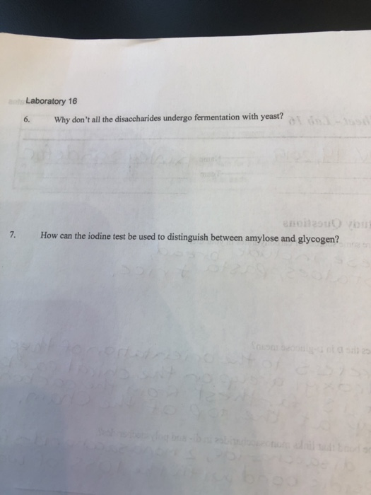 atLaboratory 16 Why dont all the disaccharides undergo fermentation with yeast? n o 6. noitaou vous How can the iodine test
