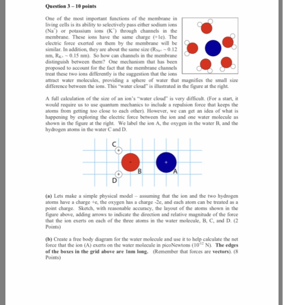 Question 3-10 points One of the most important functions of the membrane in living cells is its ability to selectively pass either sodium ions (Na) or potassium ions (K) through channels in the membrane. These ions have the same charge +le). The electric force exerted on them by the membrane will be similar. In addition, they are about the same size (RNa~0.12 nm, RK 0.15 nm). So how can channels in the membrane distinguish between them? One mechanism that has been proposed to account for the fact that the membrane channels treat these two ions differently is the suggestion that the ions attract water molecules, providing a sphere of water that magnifies the small size difference between the ions. This water cloud is illustrated in the figure at the right. A full calculation of the size of an ions water cloud is very difficult. (For a start, it would require us to use quantum mechanics to include a repulsion force that keeps the atoms from getting too close to each other). However, we can get an idea of what is happening by exploring the electric force between the ion and one water molecule as shown in the figure at the right. We label the ion A, the oxygen in the water B, and the hydrogen atoms in the water C and D (a) Lets make a simple physical model - assuming that the ion and the two hydrogern atoms have a charge te, the oxygen has a charge -2e, and each atom can be treated as a point charge. Sketch, with reasonable accuracy, the layout of the atoms shown in the figure above, adding arrows to indicate the direction and relative magnitude of the force that the ion exerts on each of the three atoms in the water molecule, B, C, and D. (2 Points) (b) Create a free body diagram for the water molecule and use it to help calculate the net force that the ion (A) exerts on the water molecule in picoNewtons (10 N). The edges of the boxes in the grid above are Inm long. (Remember that forces are vectors). (8 Points)