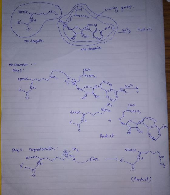 cost Leaving group. RHNOC NH > Product. Nucleophile electrophile Mechanism :- Step! CO₂H RANOC HCV SNR & NH. A 04 0! HO Cost