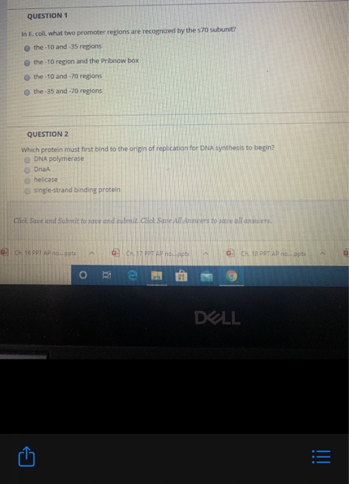 QUESTION 1 In E. coll, what two promoter regions are recognized by the s70 subunit? the -10 and 35 regions the - 10 region an
