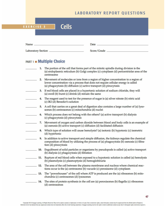 LABORATORY REPORT QUESTIONS EXERCISE 3 Name Date Laboratory Section Score/Grade PART 1 - Multiple Choice - 1. The portion of