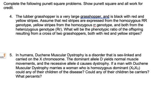Complete the following punett square problems. Show punett square and all work for credit. 4. The lubber grasshopper is a ver