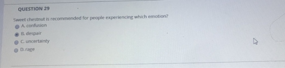 QUESTION 29 Sweet chestnut is recommended for people experiencing which emotion? A, confusion B. despair C. uncertainty D. ra