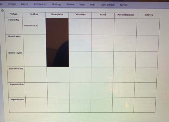 Design Layout References Mailings Review View Help Table Design Layout Phy Porifera | Ctenophora Cnidarians Acoel Platyhelmin