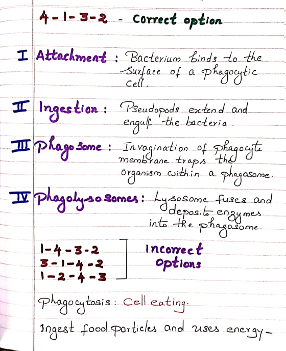 4-1-3-4 - Correct option I Attachment : Bacterium binds to the Surface of a phagocytic __-_Cell on : Pseudopods extend and en