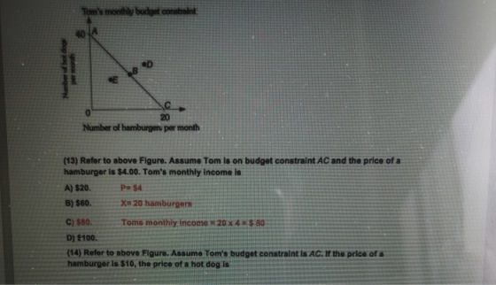 Toms monthly budget control Namber of hot dogs per month 20 Number of hamburgeru per month (13) Refer to above Figure. Assum