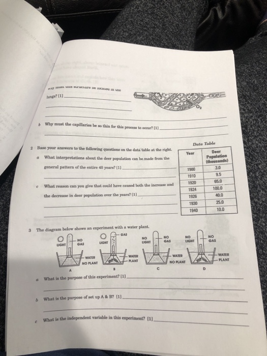 E MASSEVOL lungs? (1) Why must the capillaries be so thin for this roo m Data Table 2 Base your answers to the following ques