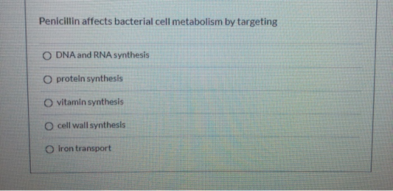 Penicillin affects bacterial cell metabolism by targeting O DNA and RNA synthesis O protein synthesis O vitamin synthesis O c
