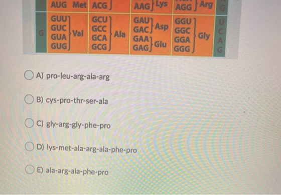 AAG] Lys AGG) Arg AUG Met ACG GUU GCU GUC GCC Val GUA GCA GUG GCG Ala GAUT GGU GACJ Asp GGC GAA] GGA Glu GAG GGG Gly U C A G