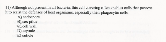 11) Although not present in all bacteria, this cell covering often enables cells that possess it to resist the defenses of host organisms, especially their phagocytic cells. A) endospore B) sex pilus C cell wall D) capsule E) cuticle