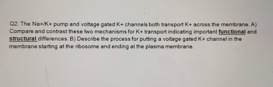 Q2. The Na+/K+ pump and voltage gated K+ channels both transport K+ across the membrane. A) Compare and contrast these two me