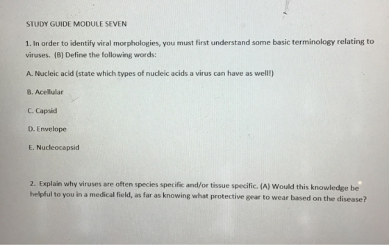 STUDY GUIDE MODULE SEVEN 1. In order to identify viral morphologies, you must first understand some basic terminology relatin