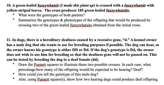 10. A green-leafed fuzzywhatsit (I made this plant up) is crossed with a fuzzywhatsit with yellow-striped leaves. The cross p