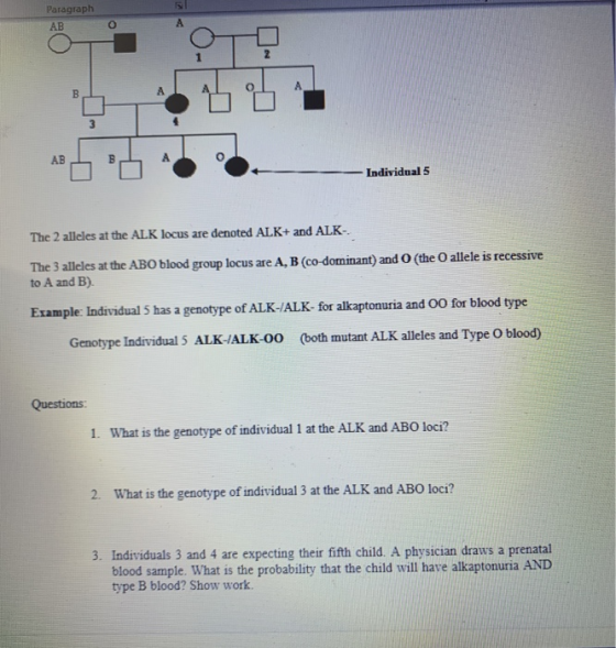 Paragraph - Individual 5 The 2 alleles at the ALK locus are denoted ALK+ and ALK. The 3 alleles at the ABO blood group locus