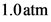 1.0 atm
