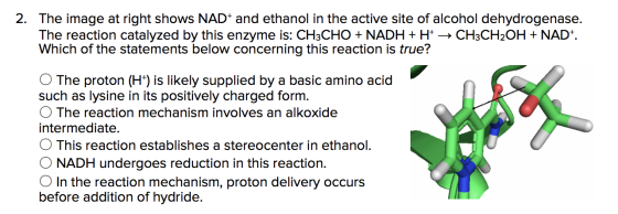 2. The image at right shows NAD+ and ethanol in the active site of alcohol dehydrogenase. The reaction catalyzed by this enzy