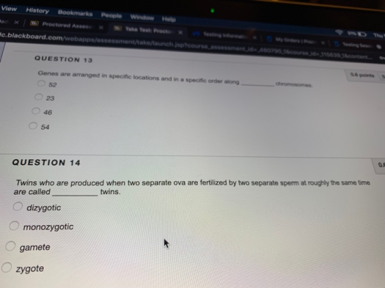 View History Bookmarks People Window Holp c.blackboard.c QUESTION 13 Genes are arranged in specific locations and in a specif