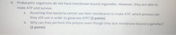4. Prokaryotic organisms do not have membrane-bound organelles. However, they are able to make ATP and survive. a. Assuming t