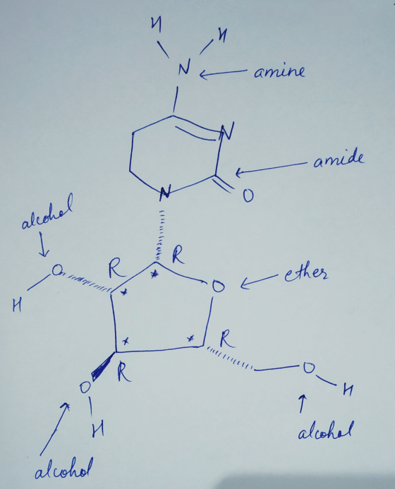 Na amine amide alcohel ether no H IIIIII _ _ n и alcohol alcohol