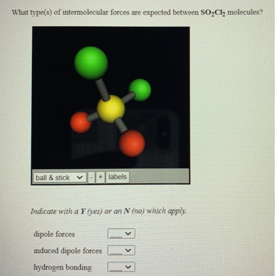 What type(s) of intermolecular forces are expected between SO2Cl2 molecules? ball & stick V - labels Indicate with a Y (yes)
