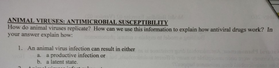 TO SO Bionibna obol ANIMAL VIRUSES: ANTIMICROBIAL SUSCEPTIBILITY How do animal viruses replicate? How can we use this informa