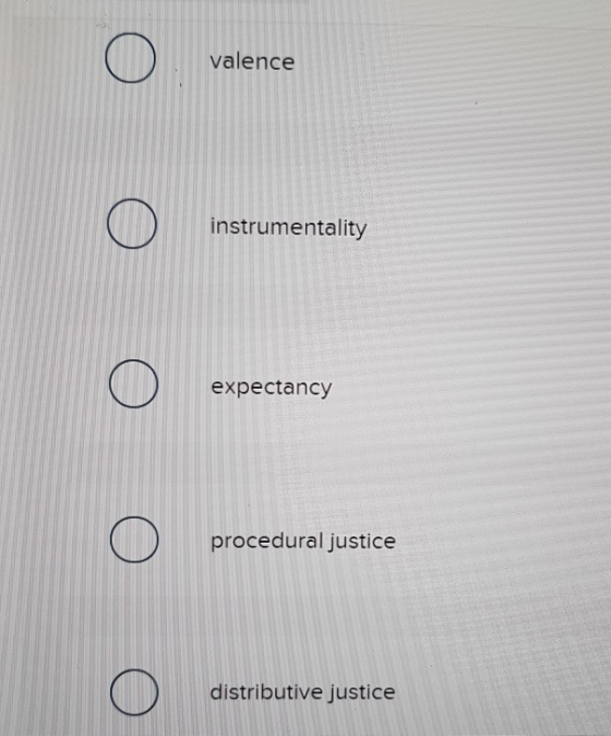 O valence instrumentality expectancy procedural justice distributive justice
