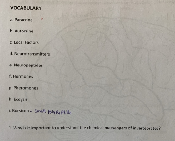 VOCABULARY a. Paracrine b. Autocrine c. Local Factors d. Neurotransmitters e. Neuropeptides f. Hormones g. Pheromones h. Ecdy