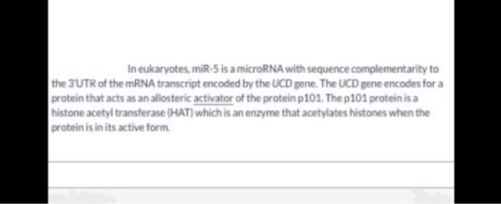 In eukaryotes, miR-5 is a microRNA with sequence complementarity to the 3 UTR of the mRNA transcript encoded by the UCD gene.