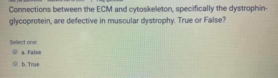 Connections between the ECM and cytoskeleton, specifically the dystrophin- glycoprotein, are defective in muscular dystrophy.