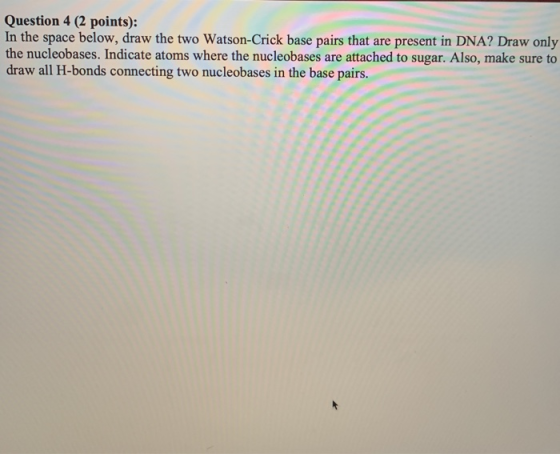 Question 4 (2 points): In the space below, draw the two Watson-Crick base pairs that are present in DNA? Draw only the nucleo