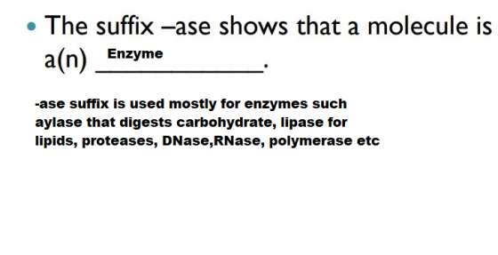 • The suffix -ase shows that a molecule is a(n) Enzyme -ase suffix is used mostly for enzymes such aylase that digests carboh