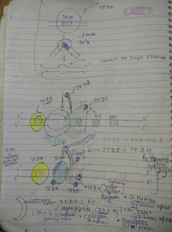 TEAD TATA VO op sheet 90% convert to single stander o 10 CTD Ted TALB TF IF V TEID BRB DCE DPF Emai teindre ΤΕΙΑ Olcoubory CT