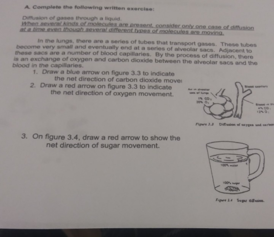 A. Complete the following written exercise Diffusion of gases through a liquid. When several or molecules are present conside