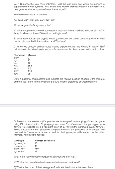 3. (7) Suppose that you have selected E cofthat can grow only when the medium is supplemented with cysteine. You isolate one