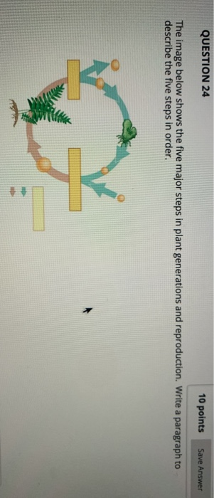 QUESTION 24 10 points Save Answer The image below shows the five major steps in plant generations and reproduction. Write a p