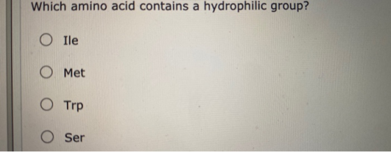 Which amino acid contains a hydrophilic group? O Ile O Met O Trp Ser