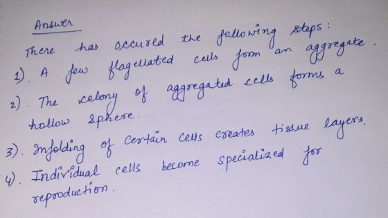 Answer There has occured the following steps: 1). A few flagellated calls form an aggregate 2). The colony of aggregated cell