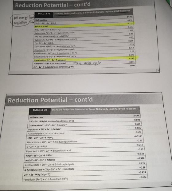 Reduction Potential - contd TABLE 13-7a Standard Reduction Potentials of some Biologically important Half-Reactions All ener