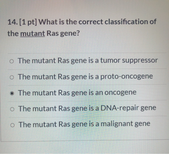 14. [1 pt] What is the correct classification of the mutant Ras gene? o The mutant Ras gene is a tumor suppressor o The mutan