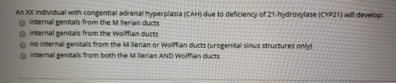 An XX individual with congential adrenal hyperplasia (CAH) due to deficiency of 21-hydroxylase (CYP21) will develop: internal